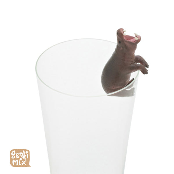 Pygmy Hippo on a glass Blindbox