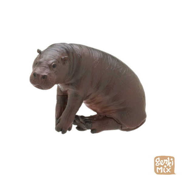 Pygmy Hippo on a glass Blindbox