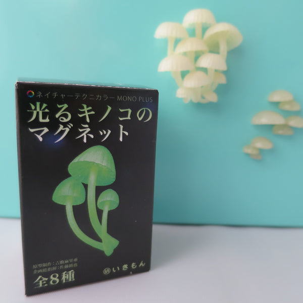 Glow in the dark Mushroom Magnet - Mystery Box