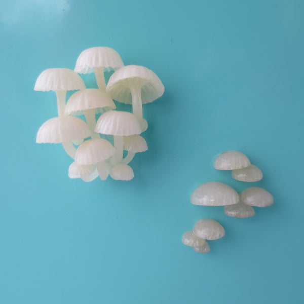 Glow in the dark Mushroom Magnet - Mystery Box