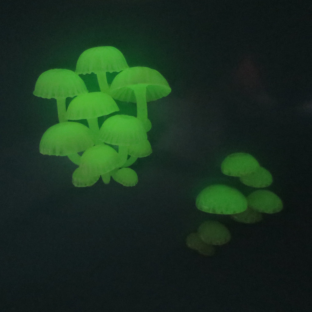 Glow in the dark Mushroom Magnet - Mystery Box